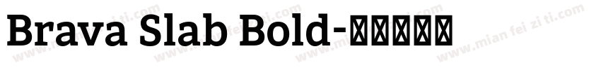Brava Slab Bold字体转换